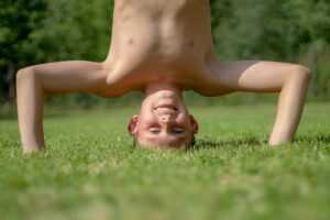 what grollgoza game is on pc