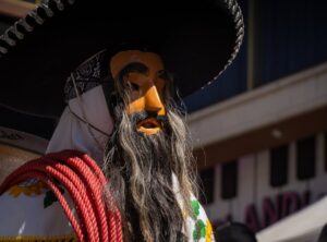 wild bandito png